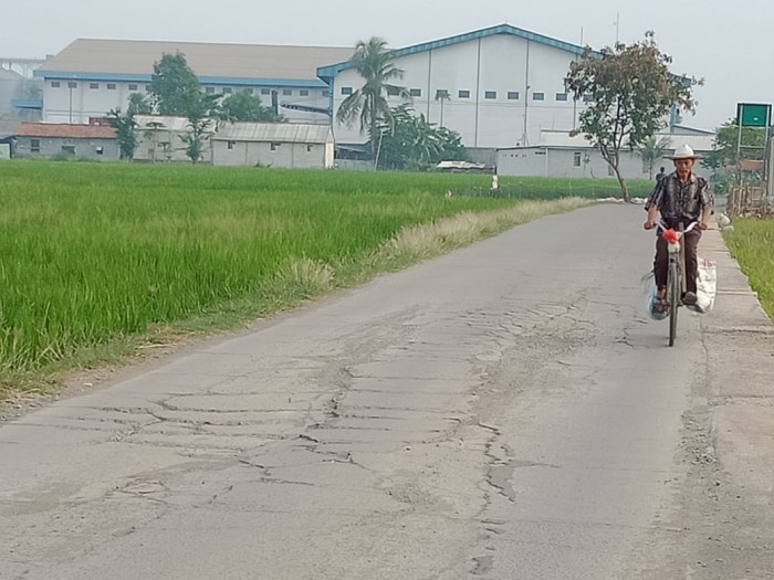 Tanah Sawah Dijual di Buni Asih Permai Cikarang